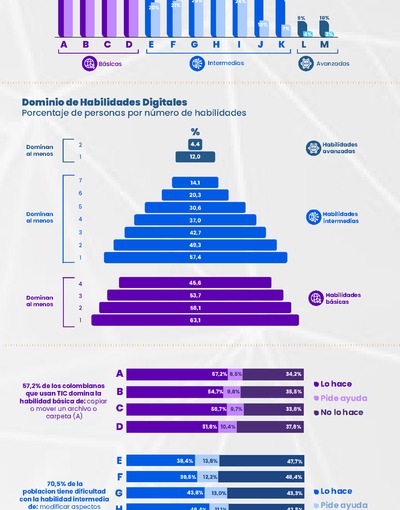 Infografía Habilidades Digitales